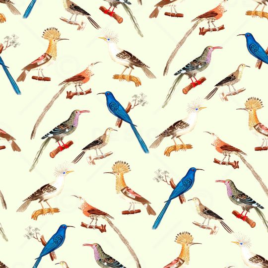 鸟印花华亿平台图片