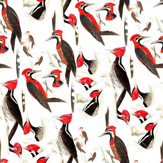 鸟印花华亿平台图片