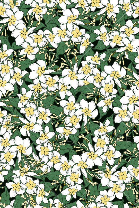 女装印花华亿平台图片