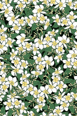 女装印花华亿平台图片