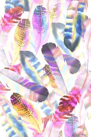 羽毛印花华亿平台图片