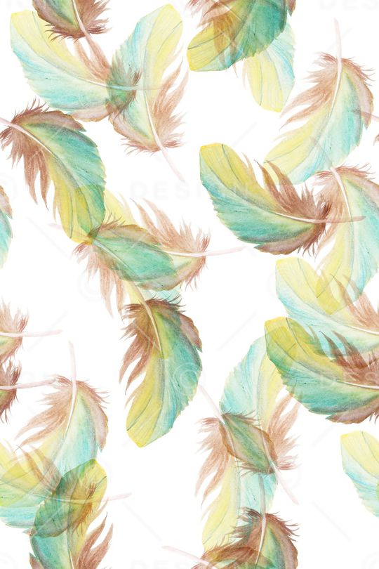 羽毛印花华亿平台图片