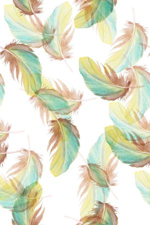 羽毛印花华亿平台图片