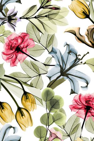 玫瑰花印花华亿平台图片