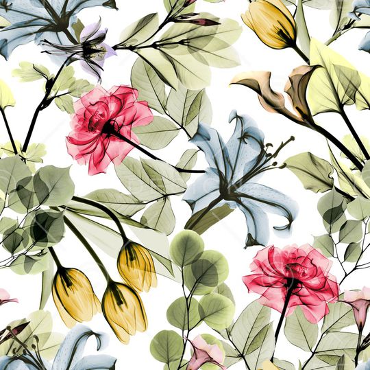 玫瑰花印花华亿平台图片