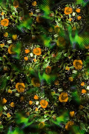 绚丽印花华亿平台图片