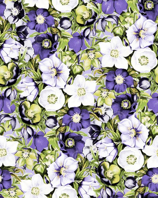 玫瑰花印花华亿平台图片