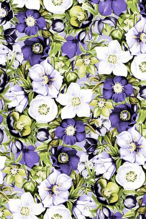 玫瑰花印花华亿平台图片