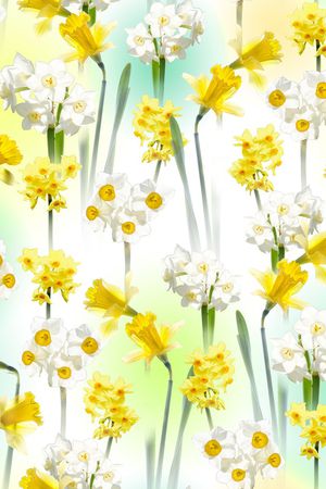 水仙花印花华亿平台图片