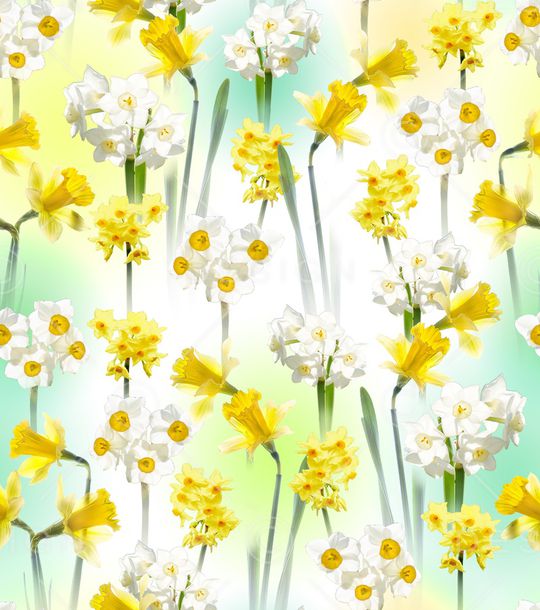 水仙花印花华亿平台图片