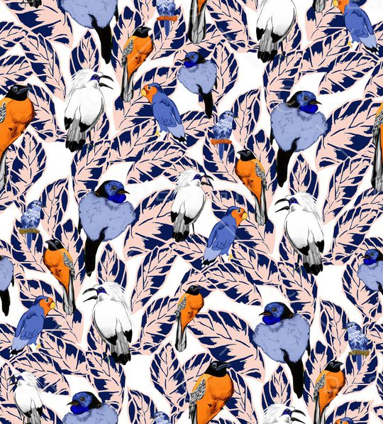 鹦鹉印花华亿平台图片