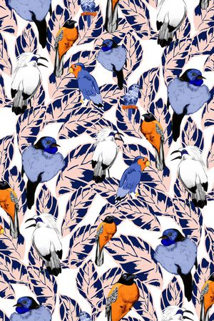 鹦鹉印花华亿平台图片