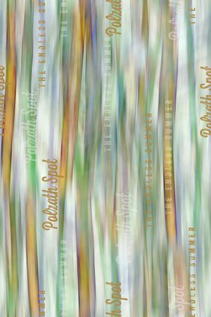 字母印花华亿平台图片