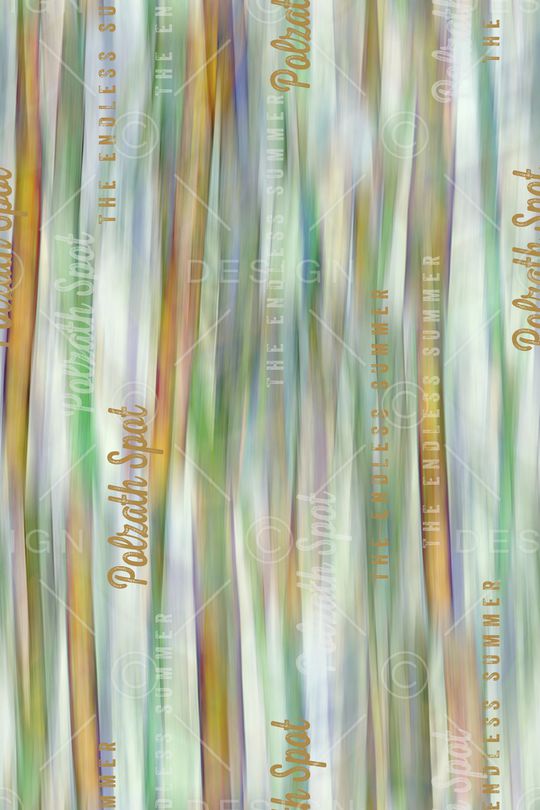 字母印花华亿平台图片