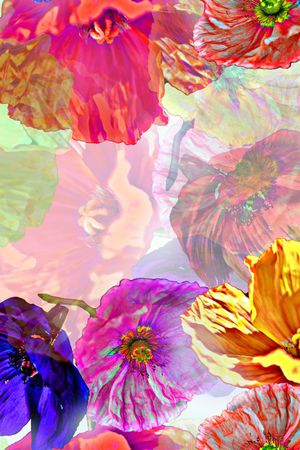 抽象花卉印花华亿平台图片