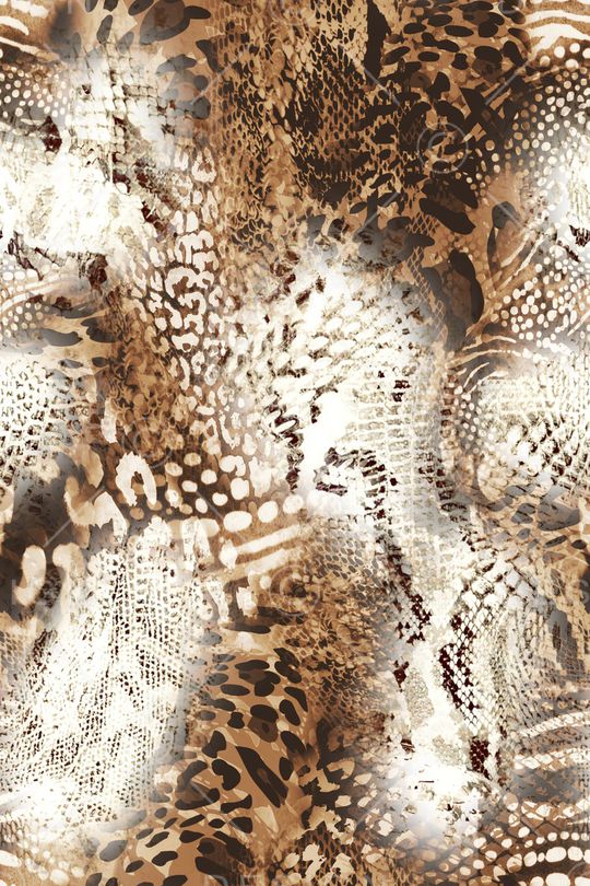 豹纹印花华亿平台图片