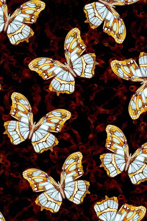 男装满版花印花华亿平台图片