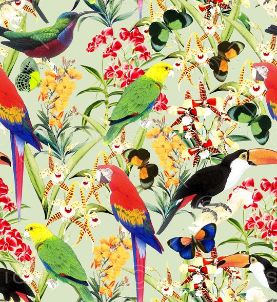 鹦鹉印花华亿平台图片