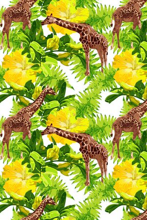 鹦鹉印花华亿平台图片