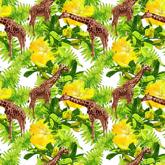 鹦鹉印花华亿平台图片