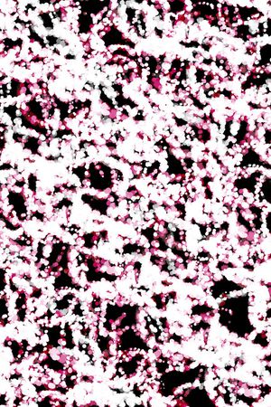 复古印花华亿平台图片