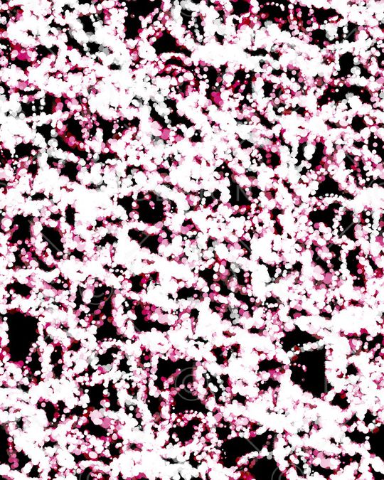 复古印花华亿平台图片