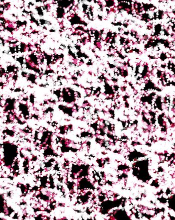 复古印花华亿平台图片