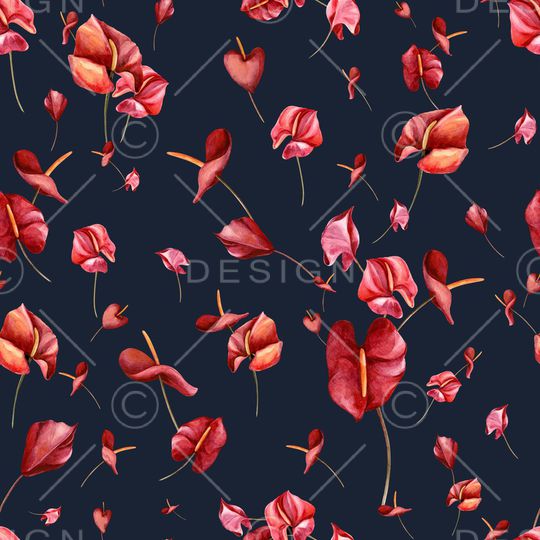 红掌印花华亿平台图片