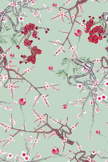 1511160-dear-20368-2