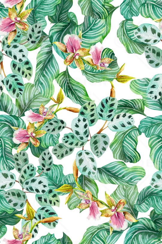 绿植树叶印花华亿平台图片