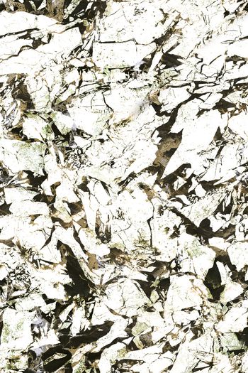 1511434-JX20220052-5