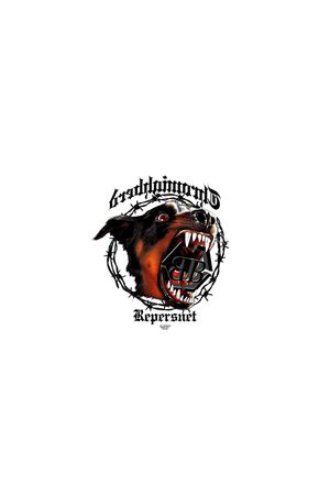 字母印花华亿平台图片