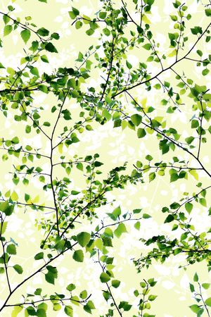 绿色印花华亿平台图片