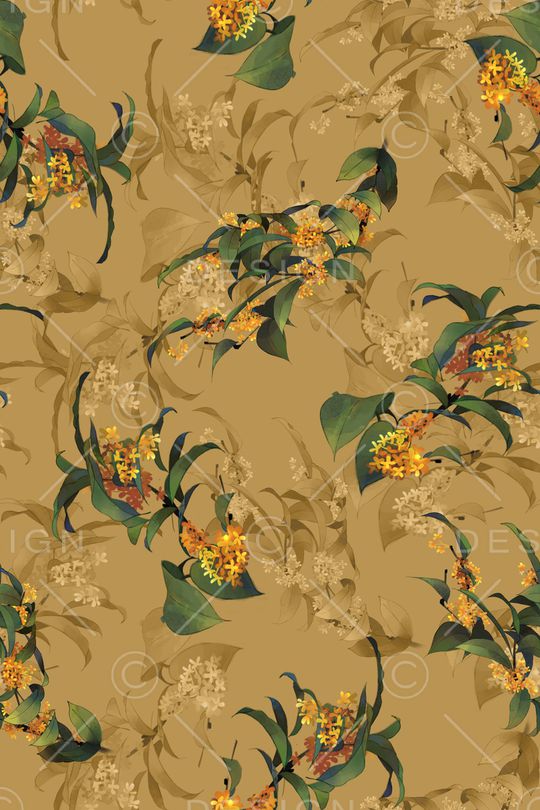 女装印花华亿平台图片