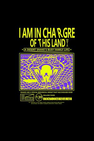 字母印花华亿平台图片