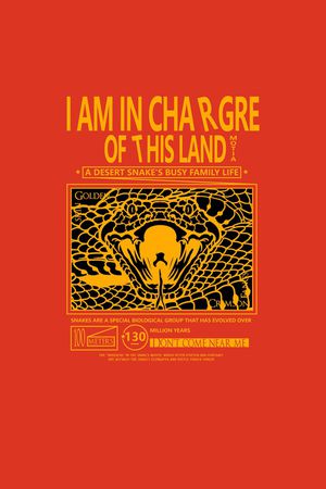 字母印花华亿平台图片