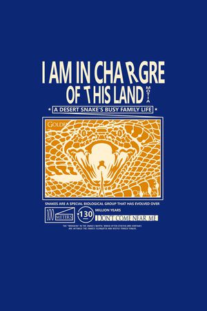 字母印花华亿平台图片