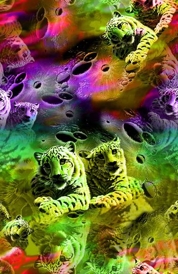 151162-WL4-0317B缩小-a