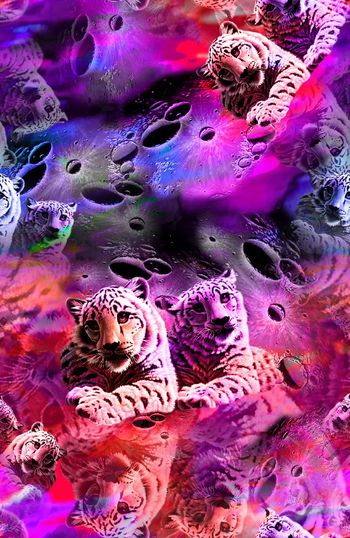 151164-WL4-0317B缩小-c