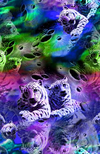 151165-WL4-0317B缩小-d