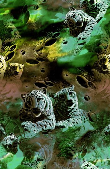 151166-WL4-0317B缩小-e