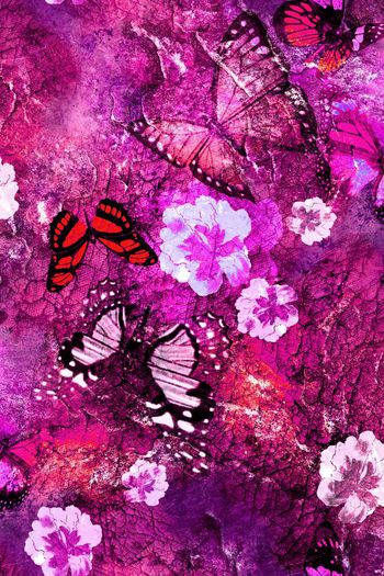 151169-wl4-0318F配色1