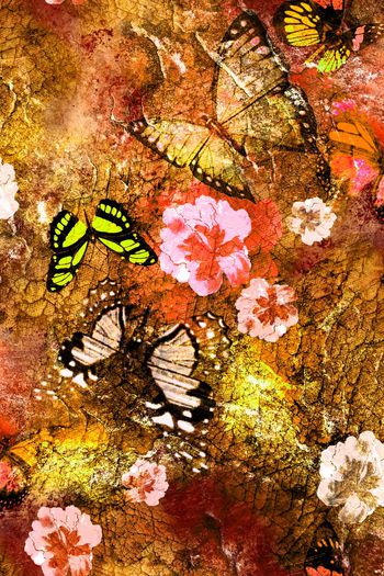 151173-wl4-0318F配色5