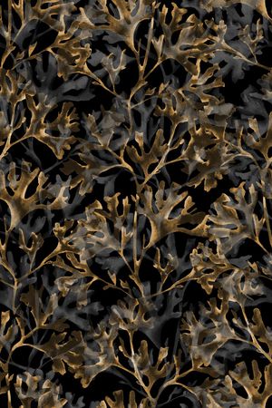 黑底花卉印花华亿平台图片