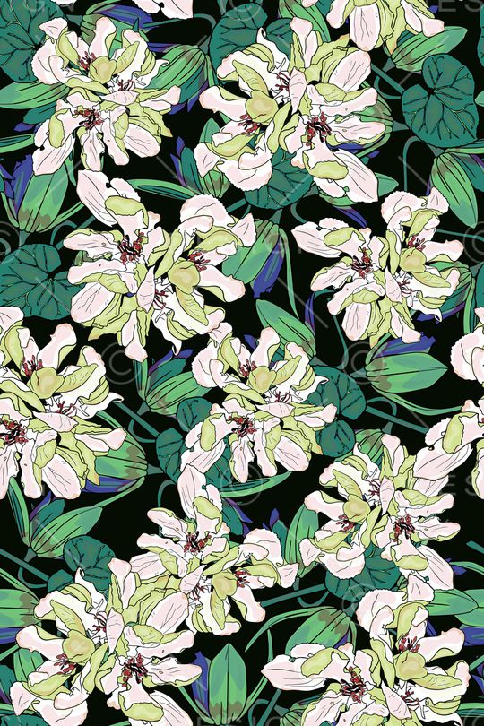 女装印花华亿平台图片