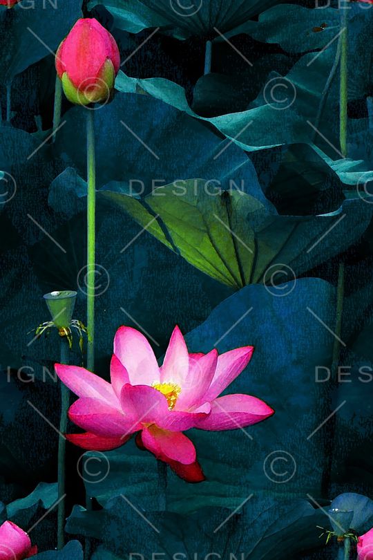 荷花印花华亿平台图片