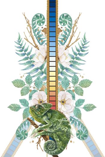 树林印花华亿平台图片