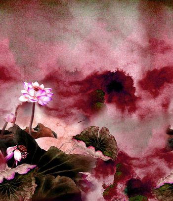 151239-wl4-0328F配色2