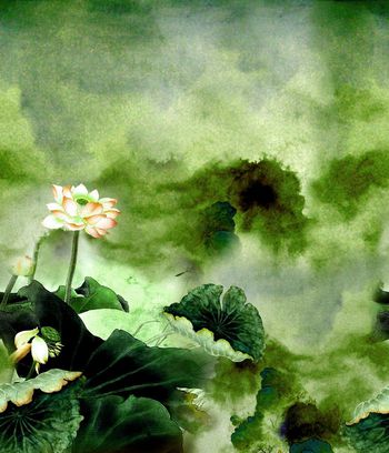 151249-wl4-0328F配色4