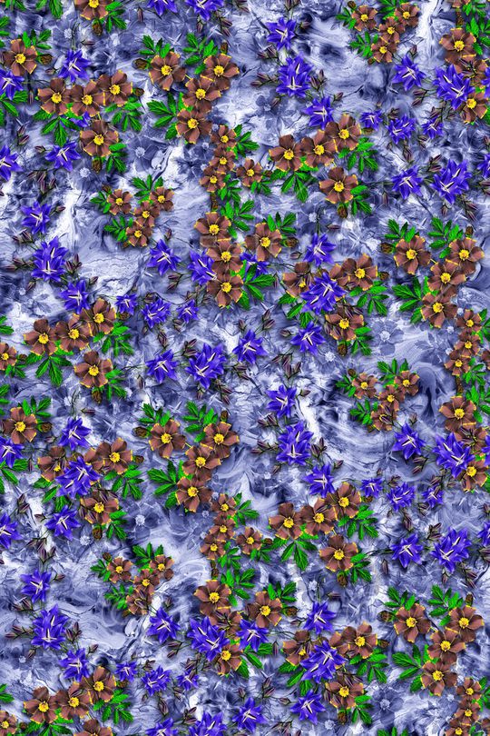 真丝印花华亿平台图片